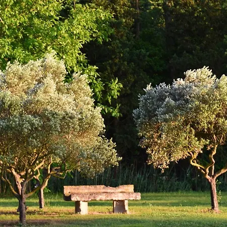 La Bastide Des Amouriers Caumont-sur-Durance