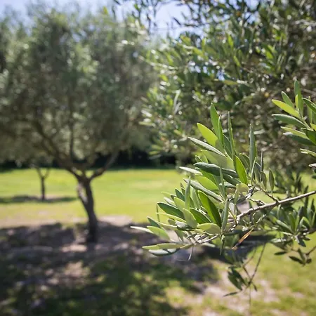 La Bastide Des Amouriers