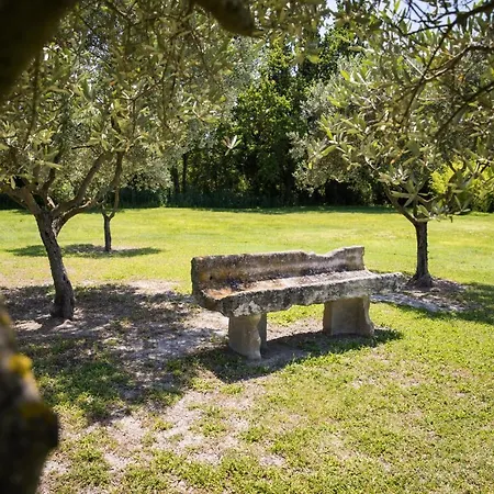 Guest house La Bastide Des Amouriers