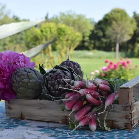 La Bastide Des Amouriers Guest house Caumont-sur-Durance
