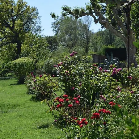 La Bastide Des Amouriers Caumont-sur-Durance
