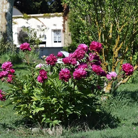 Guest house La Bastide Des Amouriers 3*